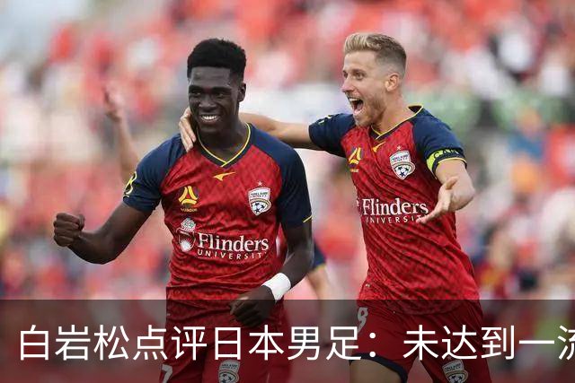 白岩松点评日本男足：未达到一流强队标准，仍需克服对荷兰的恐惧